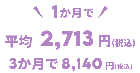 平均2,713円(税込)